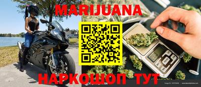 прущие грибы Краснознаменск