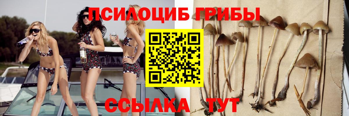 Галлюциногенные грибы MAGIC MUSHROOMS  Вход с VPN  Псилоцибиновые грибы прущие грибы  Дзержинск 
